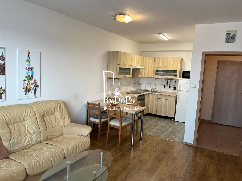 PHOTO-2026-04-12-21-02-54 4.jpg